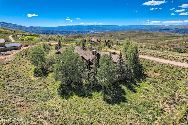 1092 The Summit Trl, Edwards, CO 81632 - photo 58