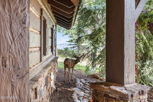 1092 The Summit Trl, Edwards, CO 81632 - photo 47