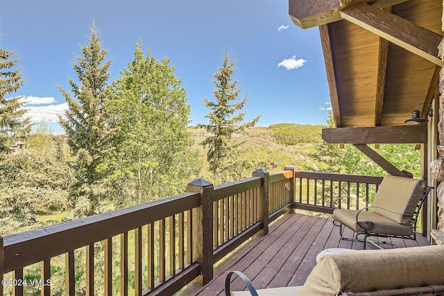 1092 The Summit Trl, Edwards, CO 81632 - photo 72
