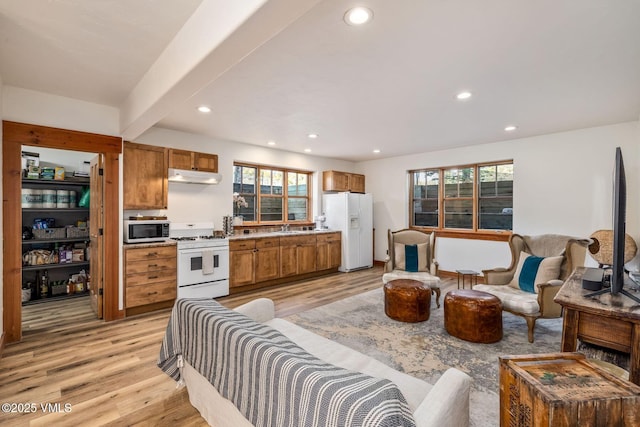 674 Hernage Creek Rd, Eagle, CO 81631 - living room featuring plenty of natural light, light wood finished floors, and recessed lighting