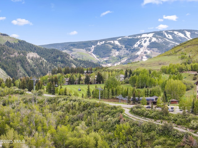 1061 W Beaver Creek Blvd Unit F101, Avon, CO 81620 - mountain view