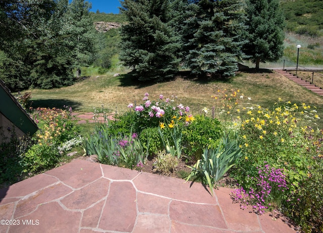 view of yard featuring a patio