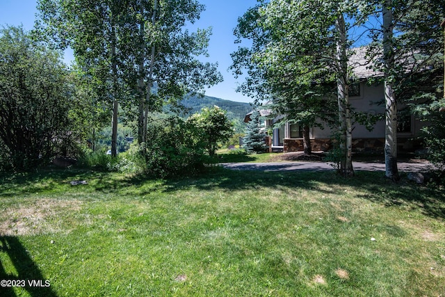 view of yard