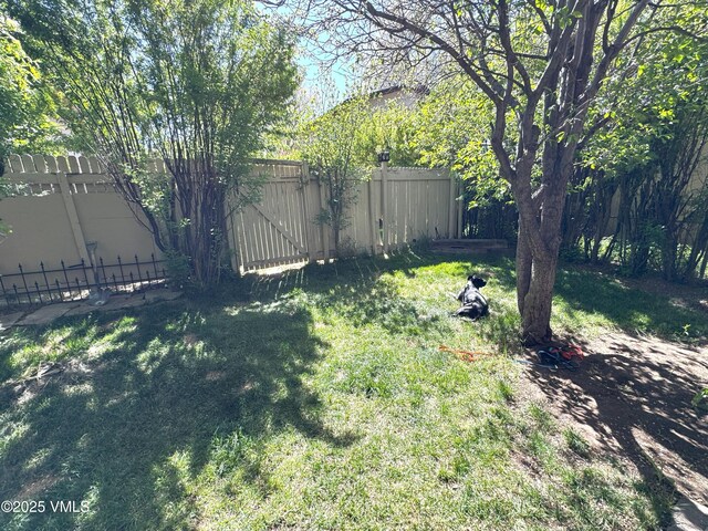 409 Washington St, Eagle, CO 81631 - view of yard