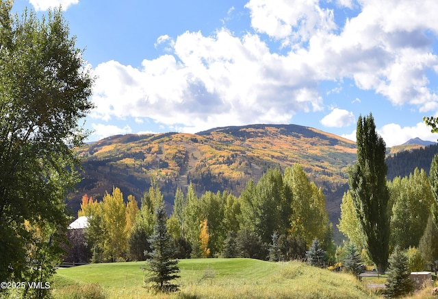 931 Singletree Rd Unit 21, Edwards, CO 81632 - mountain view