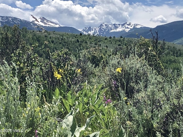 50 Andover Trl, Edwards, CO 81632 - view of mountain feature with a view of trees