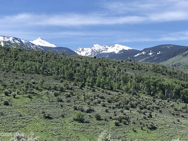 50 Andover Trl, Edwards, CO 81632 - property view of mountains