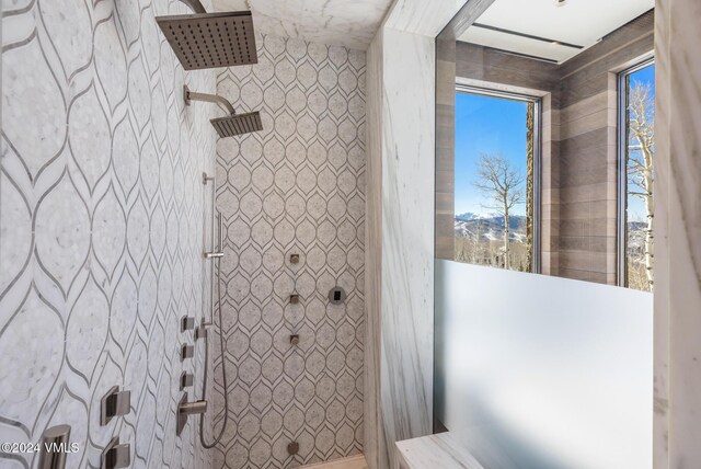 full bathroom with tiled shower