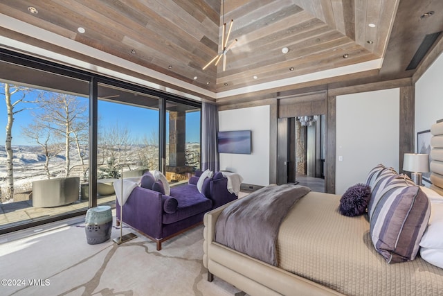 bedroom featuring a tray ceiling