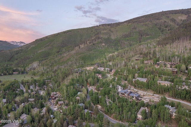 2241 Tahoe Dr, Vail, CO 81657 - view of mountain backdrop with a heavily wooded area