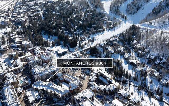 684 W Lionshead Cir Unit 304, Vail, CO 81657 - view of snowy aerial view