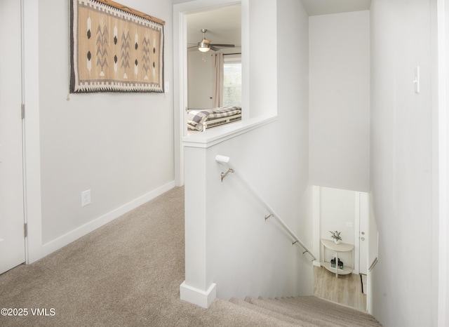 stairway with baseboards, carpet flooring, and ceiling fan