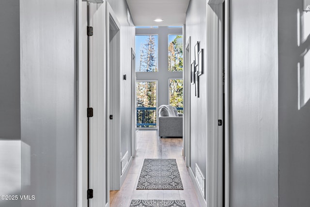 408 El Lobo Ln, Fairplay, CO 80440 - hallway with light wood finished floors