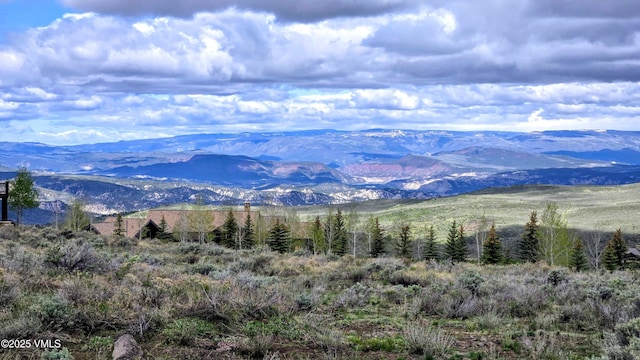 33 Pine Martin Way, Edwards, CO 81632