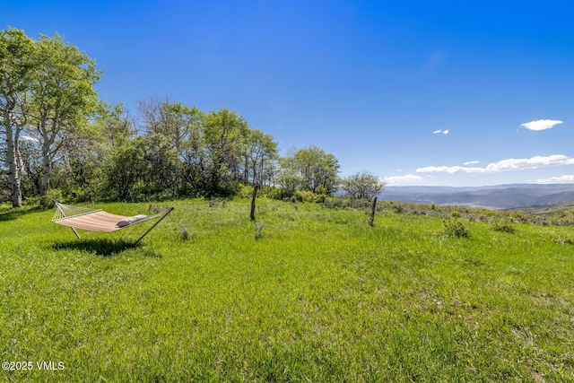 6306 Bellyache Ridge Rd, Wolcott, CO 81655 - view of yard featuring a mountain view