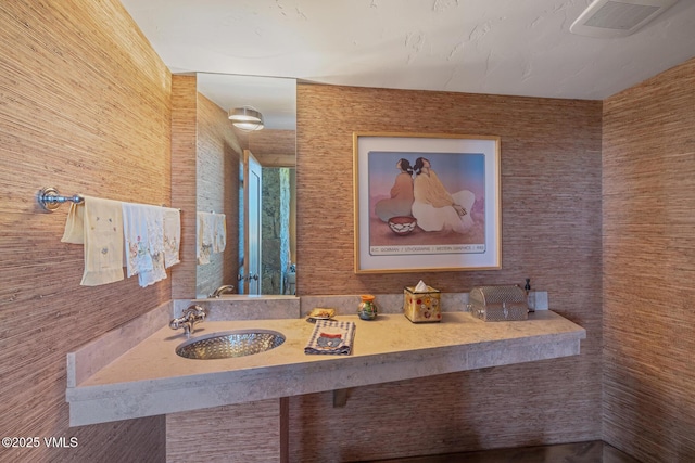 6306 Bellyache Ridge Rd, Wolcott, CO 81655 - bathroom featuring a sink