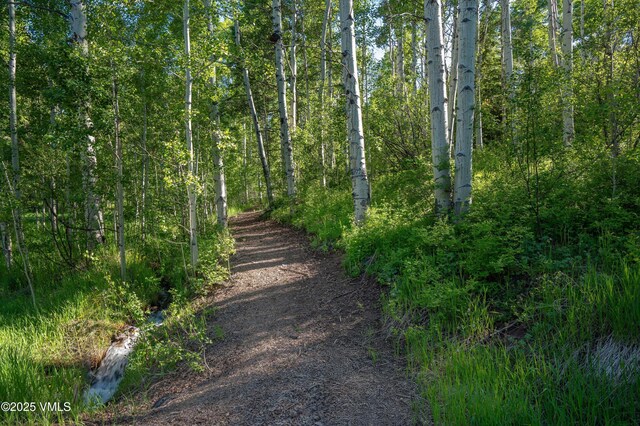 575 Pilgrim Dr, Edwards, CO 81632 - photo 55