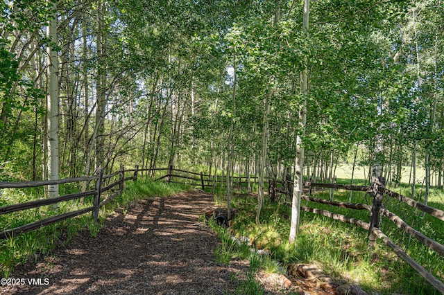 575 Pilgrim Dr, Edwards, CO 81632 - photo 53