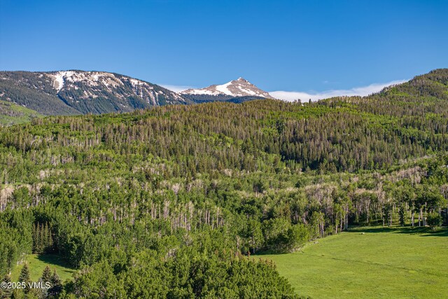 575 Pilgrim Dr, Edwards, CO 81632 - photo 12