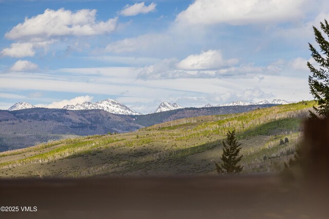 575 Pilgrim Dr, Edwards, CO 81632 - photo 74