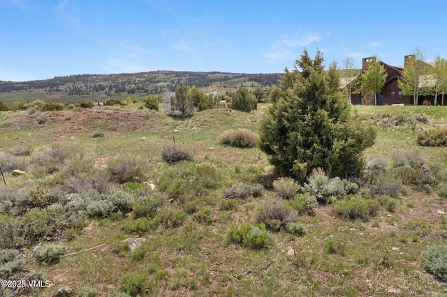 160 Wildflower Ln, Wolcott, CO 81655 - photo 15