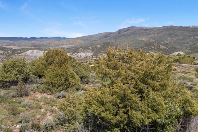 160 Wildflower Ln, Wolcott, CO 81655 - photo 12