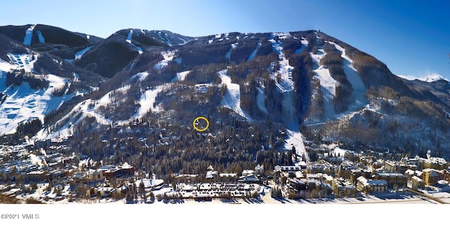 366 Forest Rd, Vail, CO 81657 - photo 50