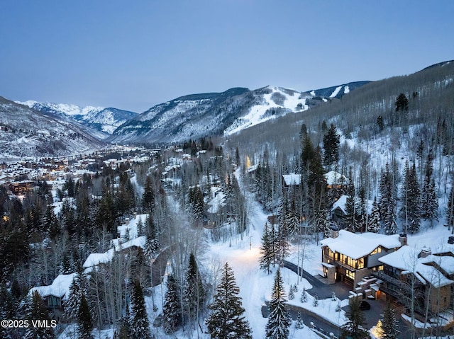 366 Forest Rd, Vail, CO 81657 - mountain view featuring a heavily wooded area
