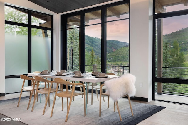366 Forest Rd, Vail, CO 81657 - photo 75