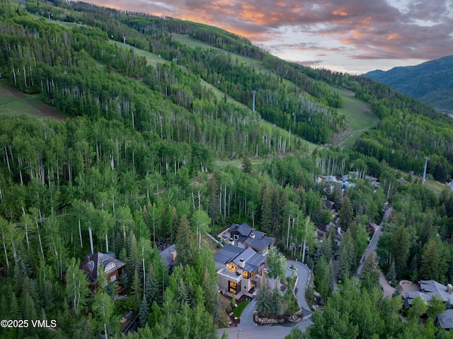 366 Forest Rd, Vail, CO 81657 - photo 15