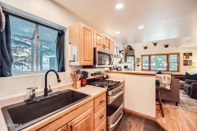 kitchen with appliances with stainless steel finishes, sink, and light brown cabinets