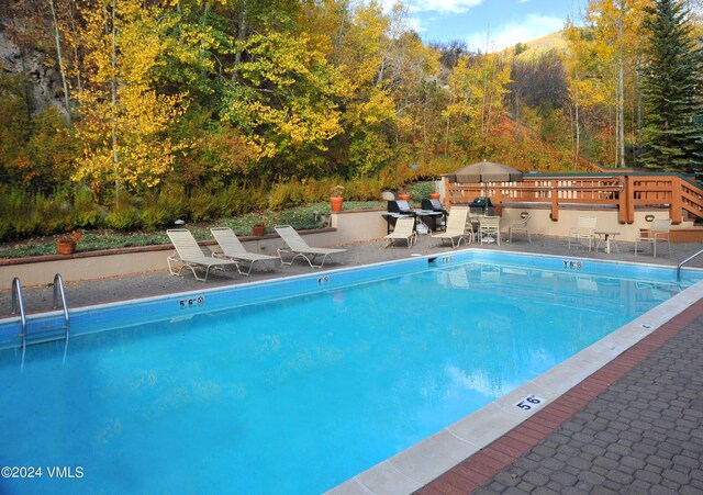 view of swimming pool