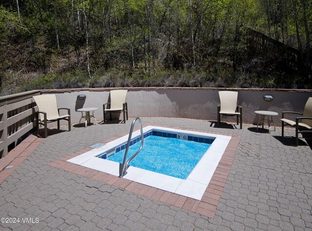 view of swimming pool featuring a patio area