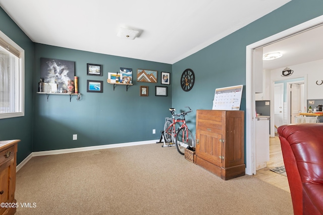 618 W Chestnut St, Leadville, CO 80461 - playroom with carpet and baseboards