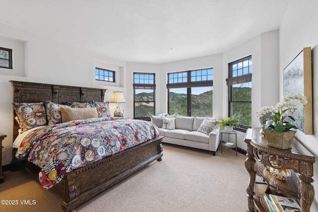 35 Stag Gulch Ct, Edwards, CO 81632 - photo 36