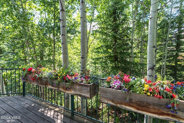 59 Borders Rd, Beaver Creek, CO 81620 - photo 13