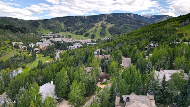 59 Borders Rd, Beaver Creek, CO 81620 - photo 35
