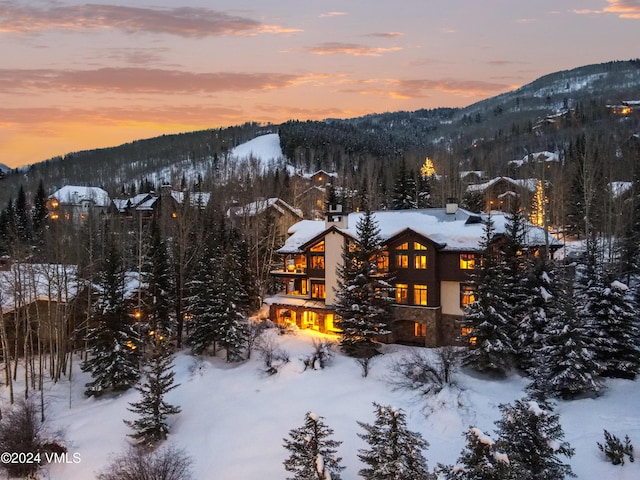 59 Borders Rd, Beaver Creek, CO 81620 - photo 42
