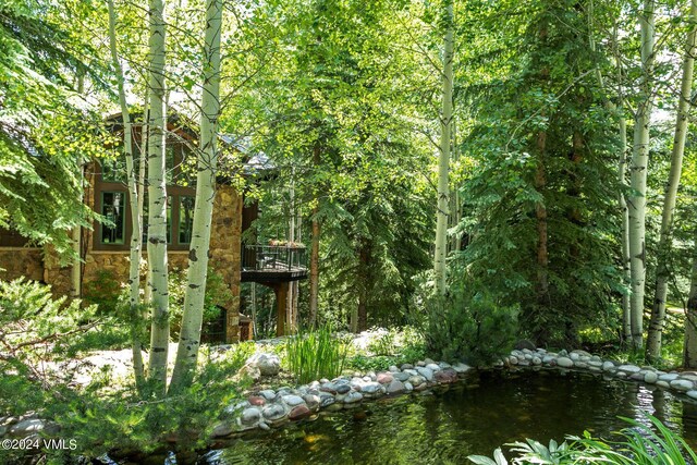 59 Borders Rd, Beaver Creek, CO 81620 - photo 36