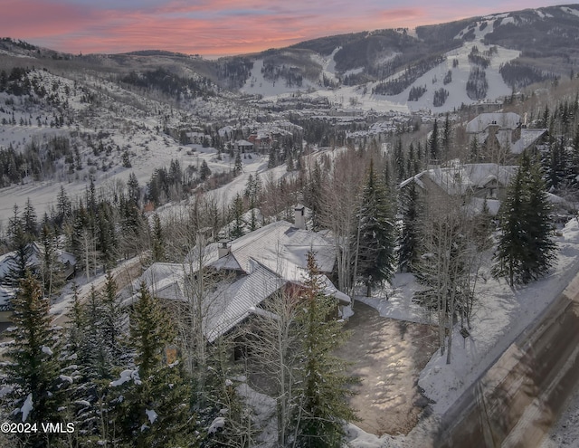 59 Borders Rd, Beaver Creek, CO 81620 - photo 43