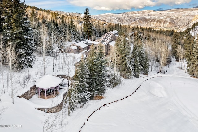 snowy aerial view featuring a forest view and a mountain view