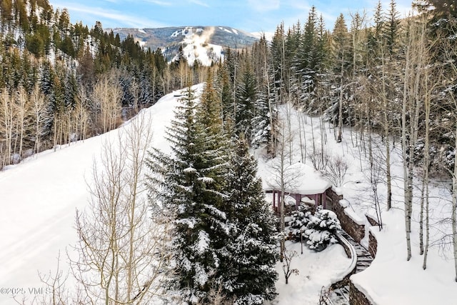 snowy aerial view with a mountain view and a view of trees