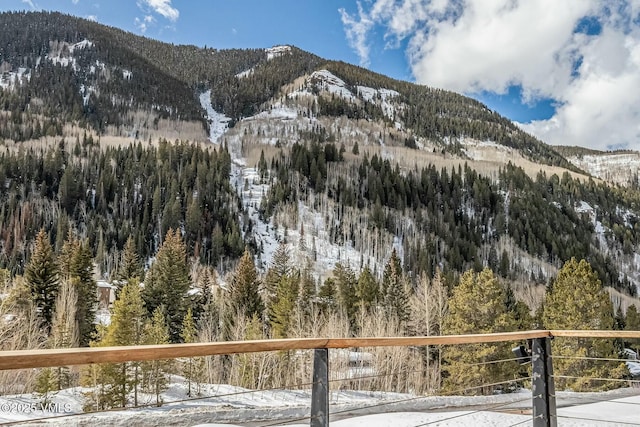 view of mountain feature with a forest view