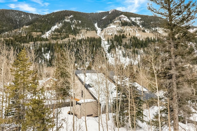 property view of mountains featuring a wooded view