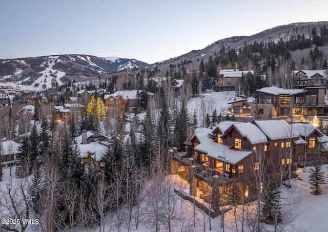 158 Holden Rd, Beaver Creek, CO 81620 - photo 60