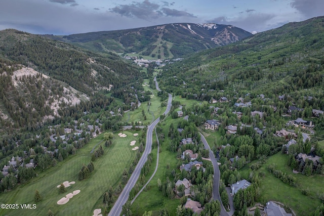 158 Holden Rd, Beaver Creek, CO 81620 - photo 67