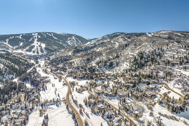 158 Holden Rd, Beaver Creek, CO 81620 - photo 69
