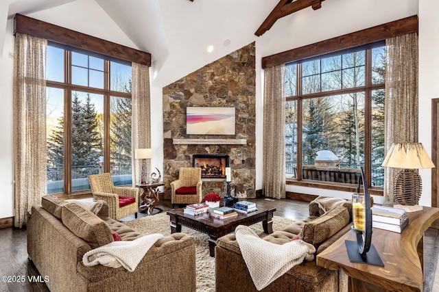 living room with high vaulted ceiling, a fireplace, and hardwood / wood-style floors