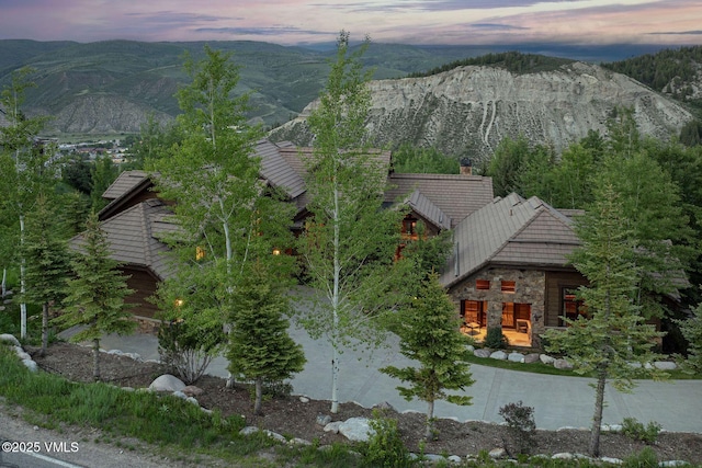 158 Holden Rd, Beaver Creek, CO 81620 - photo 4
