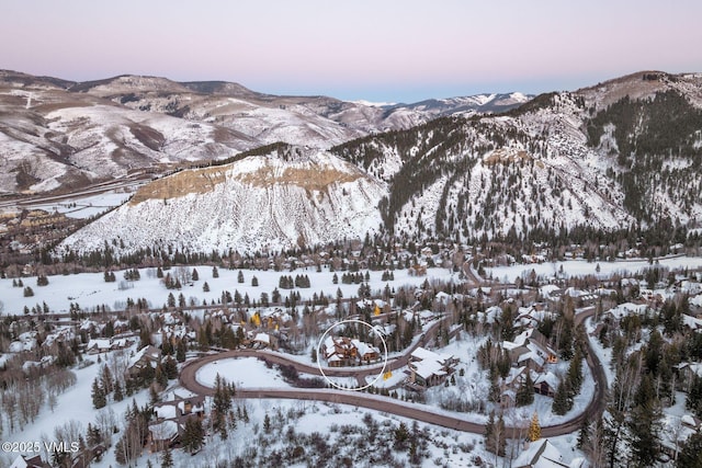 158 Holden Rd, Beaver Creek, CO 81620 - photo 73